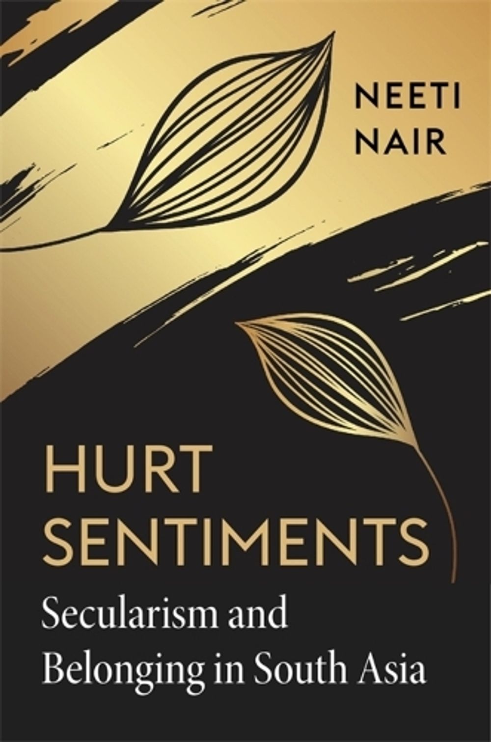 Hurt Sentiments by Neeti Nair - ISBN: 9780674238275