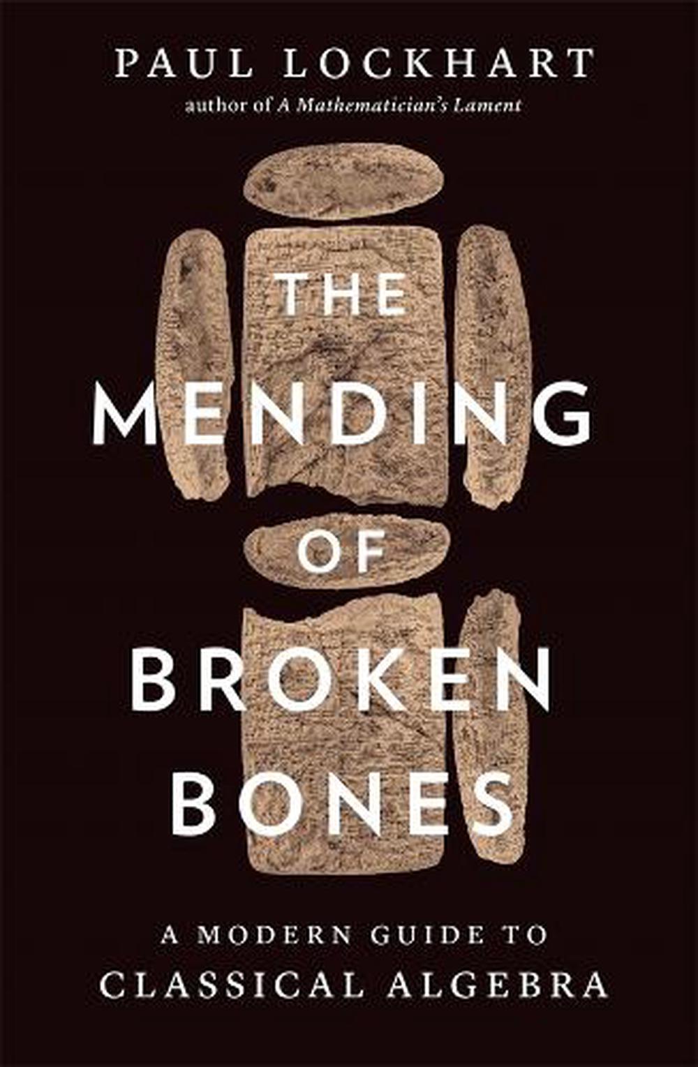 The Mending of Broken Bones, 9780674296329