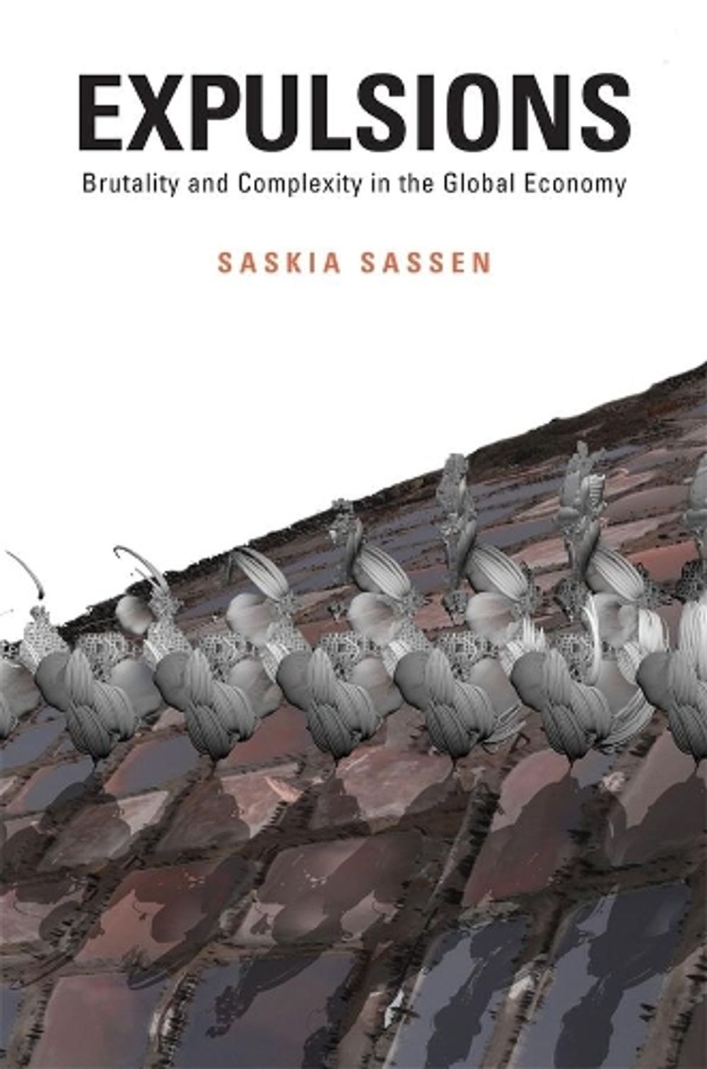 Expulsions by Saskia Sassen - ISBN: 9780674599222