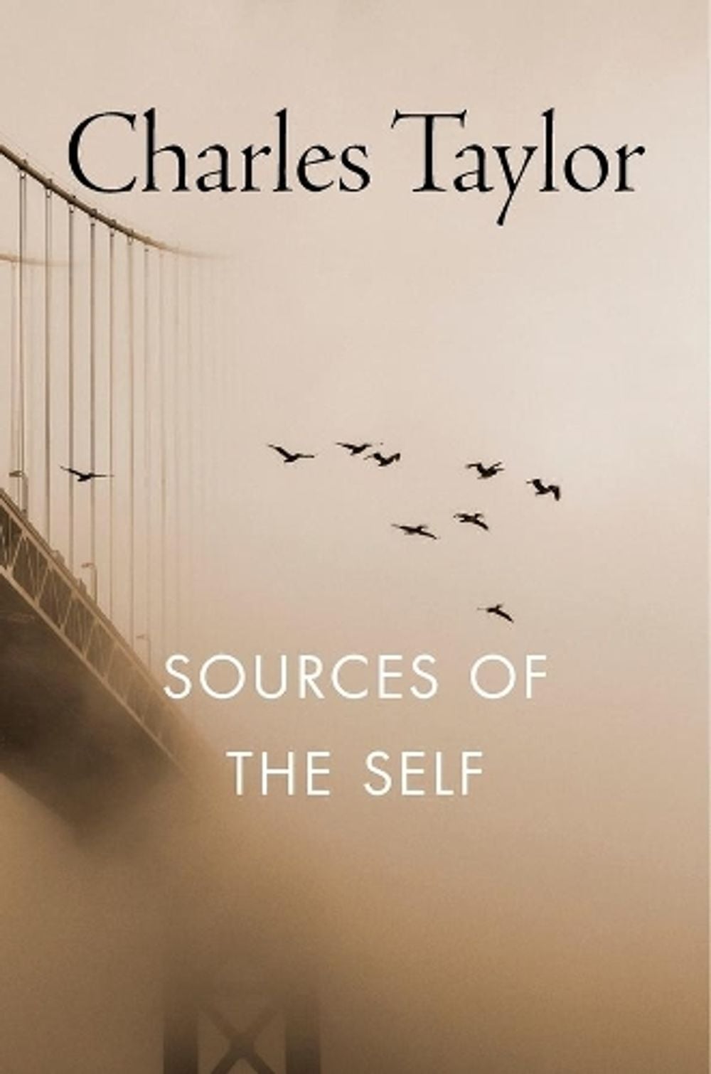 Sources of the Self by Charles Taylor - ISBN: 9780674824263