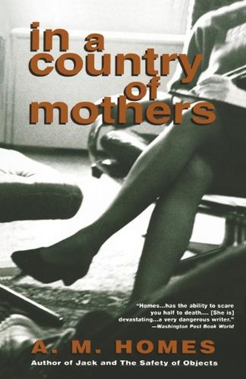 In a Country of Mothers by A.M. Homes - ISBN: 9780679742432