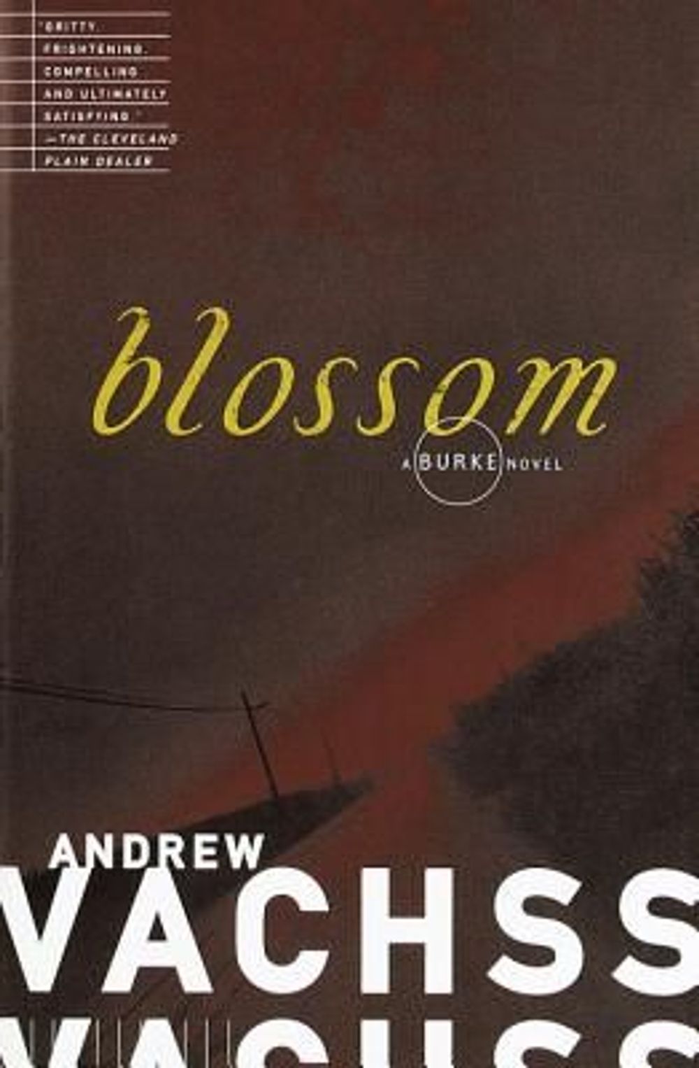 Blossom by Andrew H. Vachss - ISBN: 9780679772613
