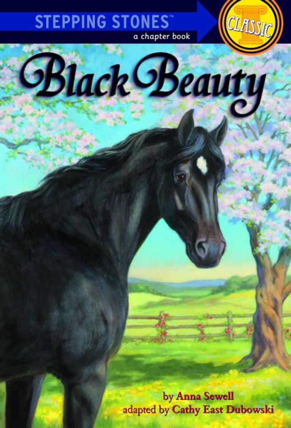 Step Up Classics Black Beauty by Dubowski - ISBN: 9780679803706