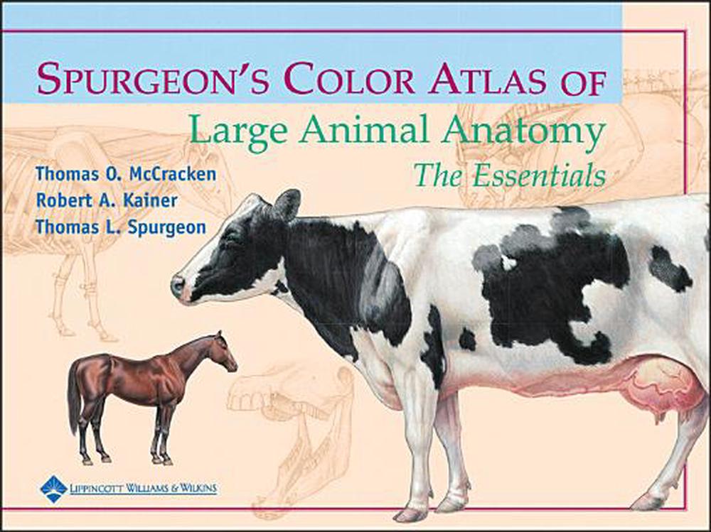 Spurgeon's Color Atlas of Large Animal Anatomy, 9780683306736