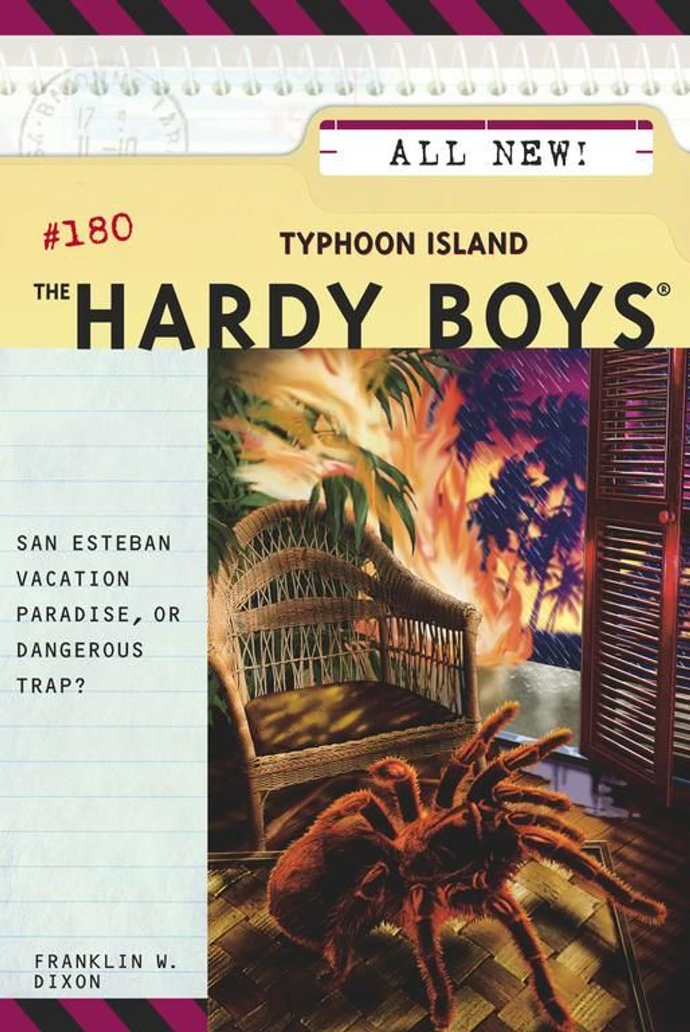 Typhoon Island by Franklin W. Dixon - ISBN: 9780689858840