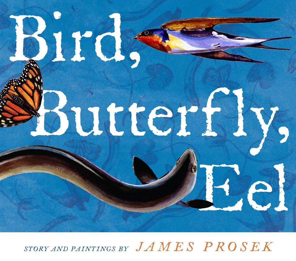 Bird, Butterfly, Eel by James Prosek - ISBN: 9780689868290