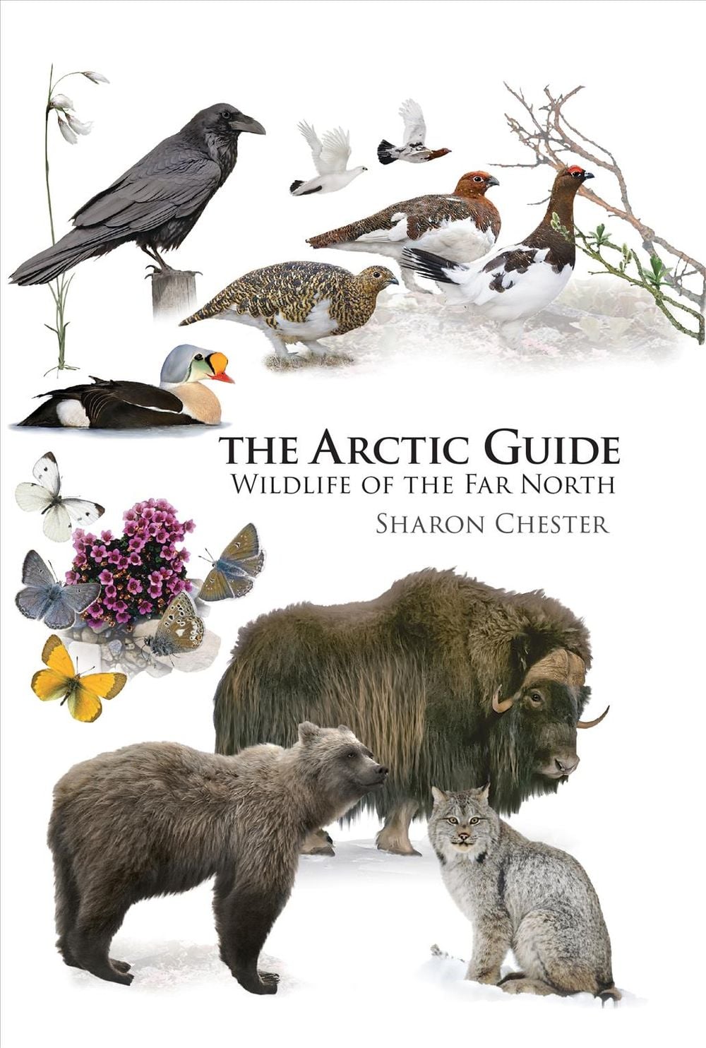 The Arctic Guide by Sharon Chester - ISBN: 9780691139753