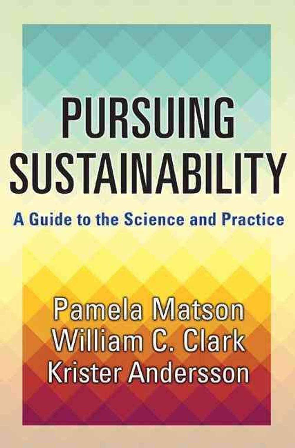 Pursuing Sustainability by Pamela Matson - ISBN: 9780691157610