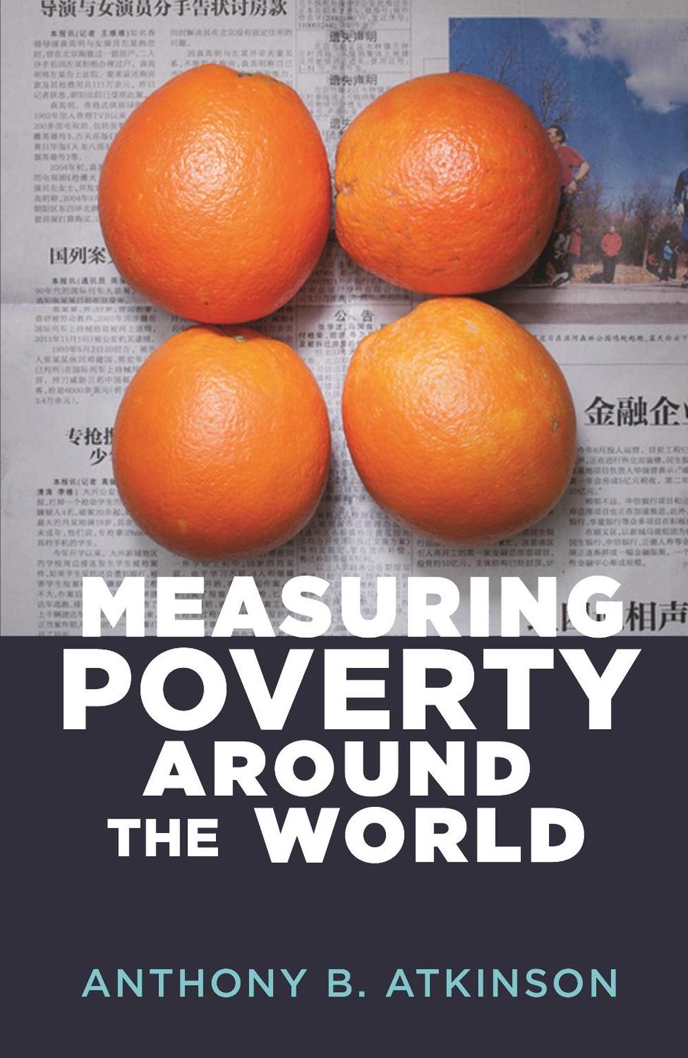 Measuring Poverty around the World, 9780691191225