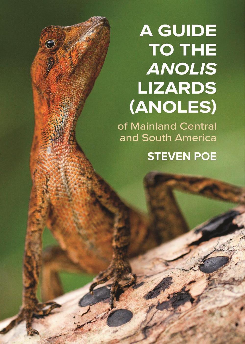 A Guide to the Anolis Lizards (Anoles) of Mainland Central and South America, 9780691192871