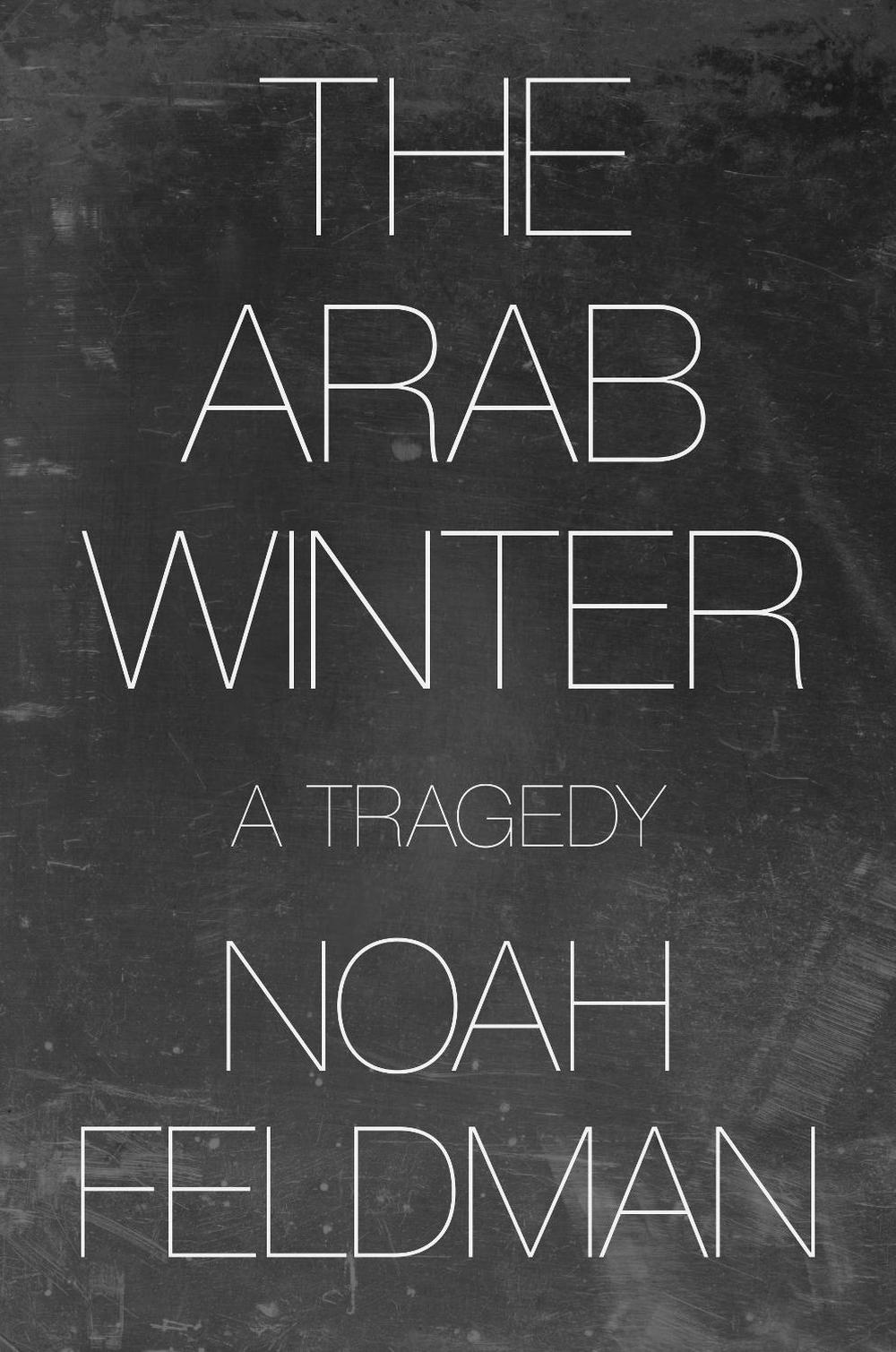 The Arab Winter, 9780691194929