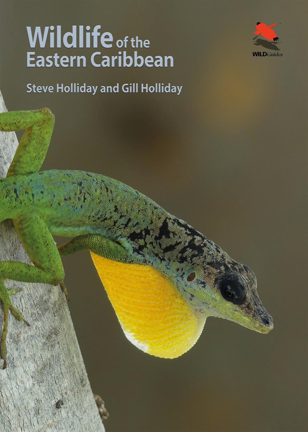 Wildlife of the Eastern Caribbean, 9780691199818