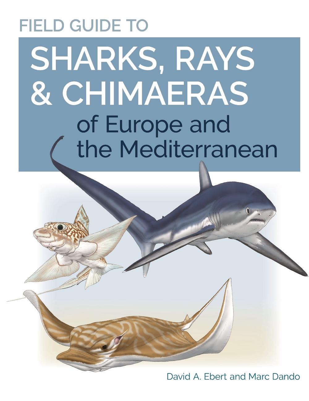 Field Guide to Sharks, Rays & Chimaeras of Europe and the Mediterranean, 9780691205984