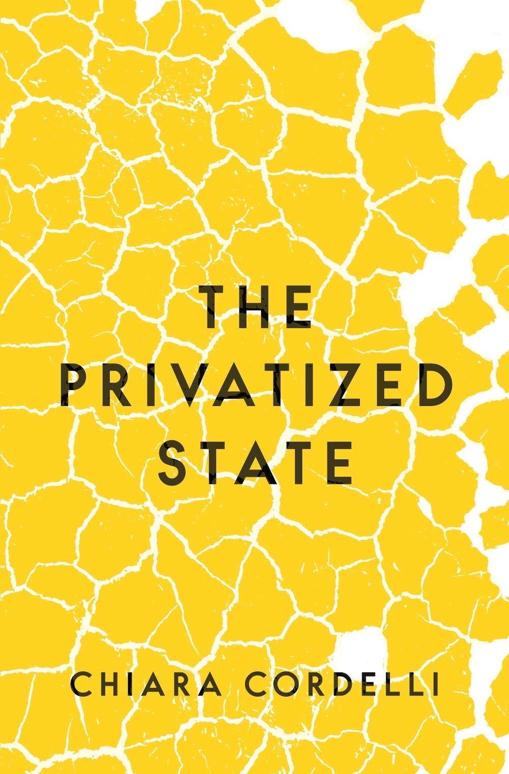 The Privatized State, 9780691211725