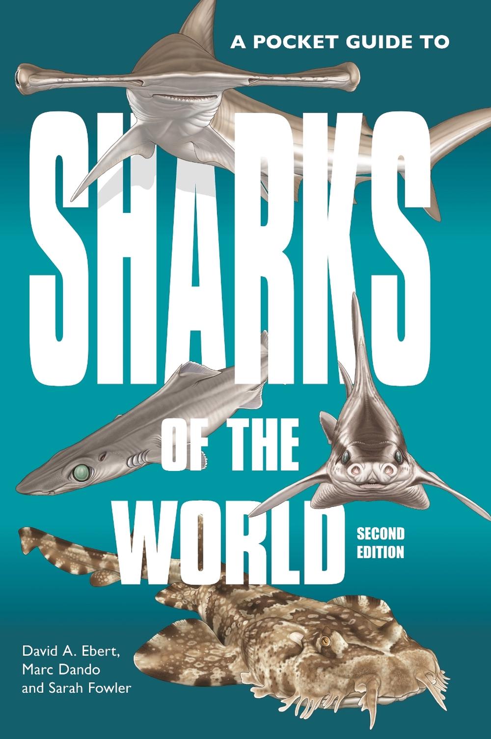 A Pocket Guide to Sharks of the World, 9780691218748