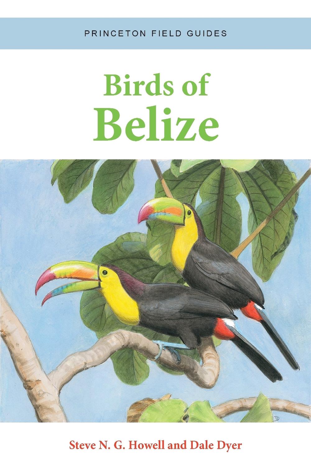 Birds of Belize, 9780691220727