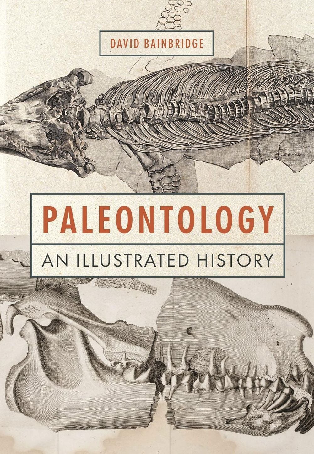 Paleontology by David Bainbridge - ISBN: 9780691220925