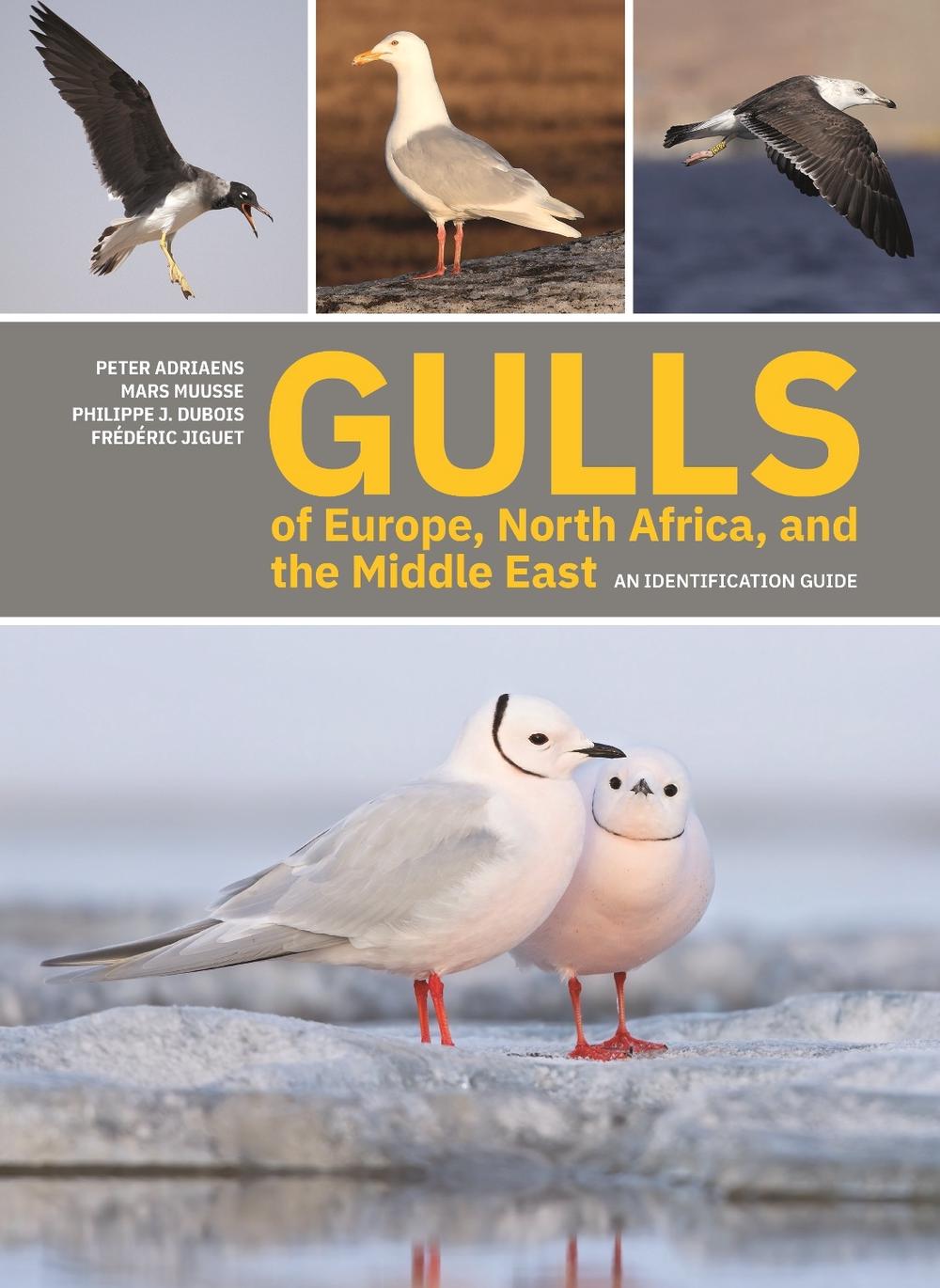 Gulls of Europe, North Africa, and the Middle East, 9780691222837