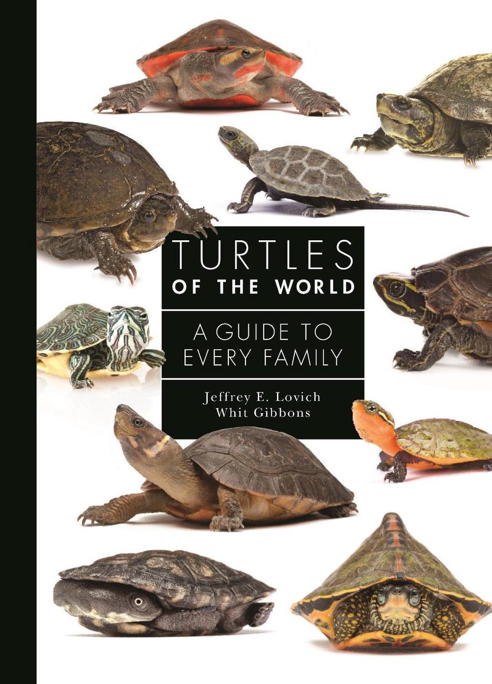 Turtles of the World, 9780691223223