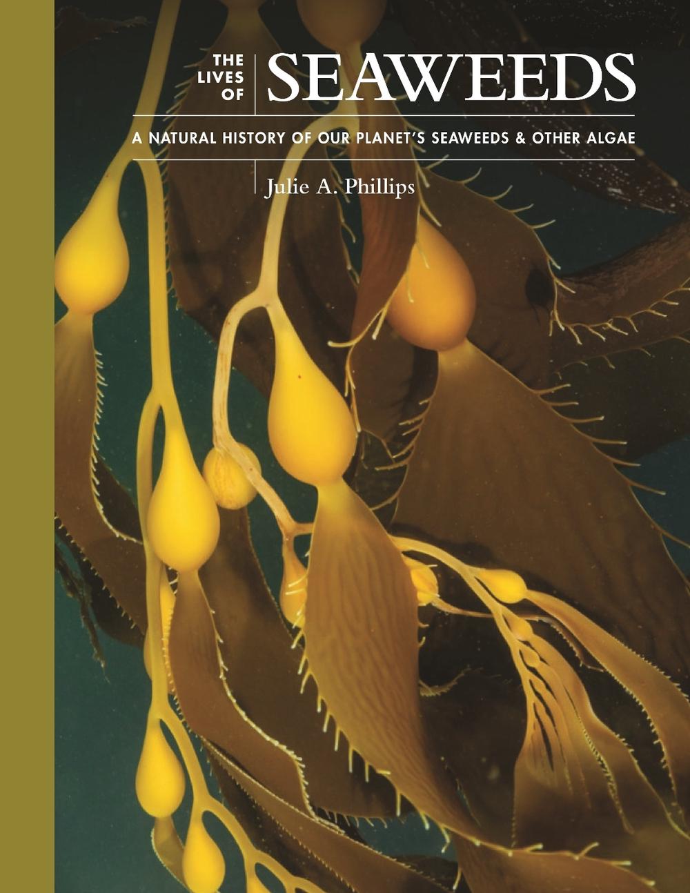 The Lives of Seaweeds, 9780691228556