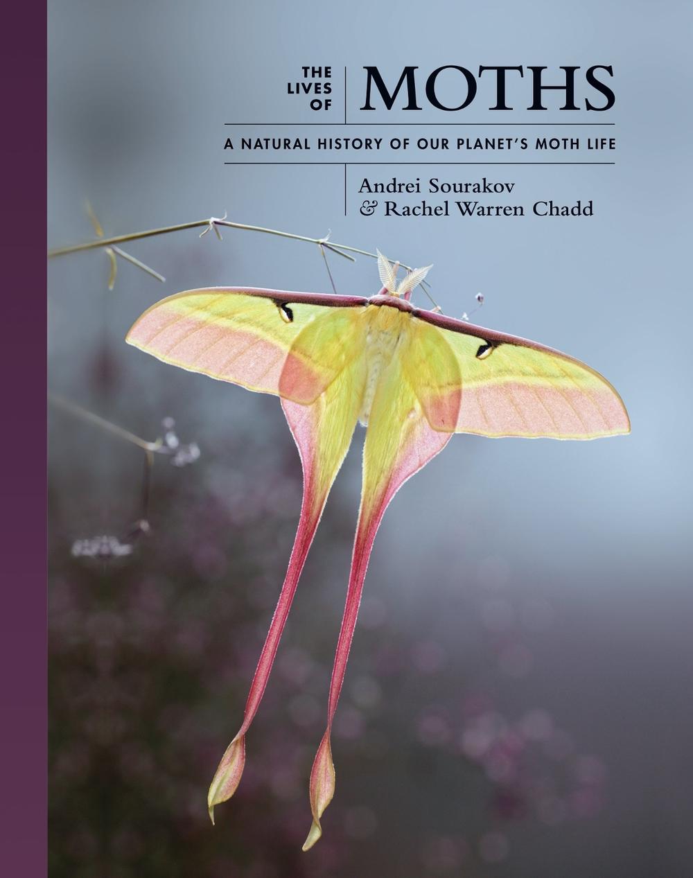 The Lives of Moths, 9780691228563