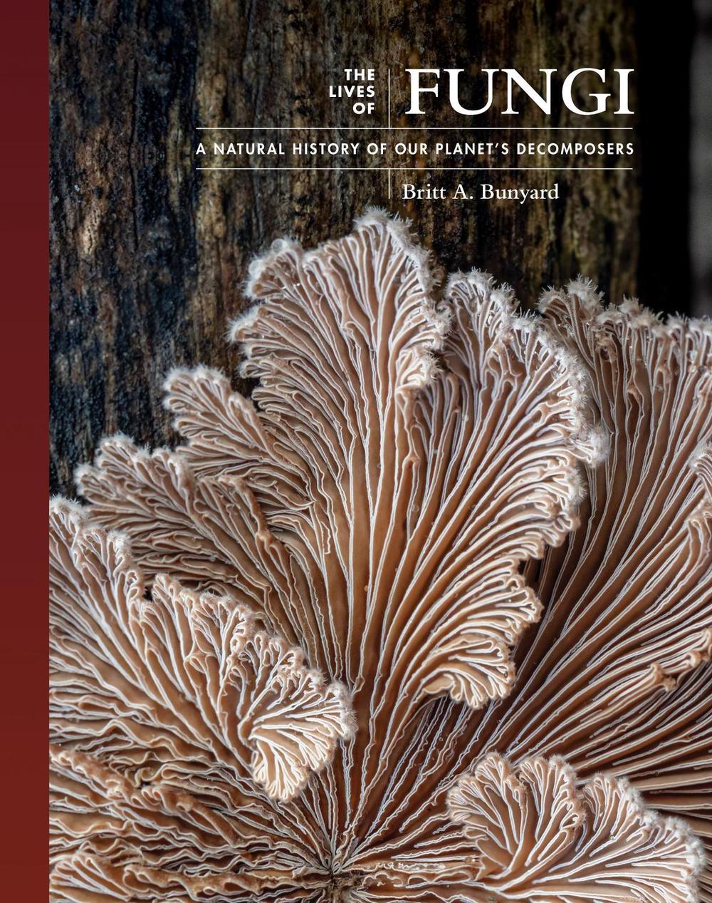 The Lives of Fungi, 9780691229843