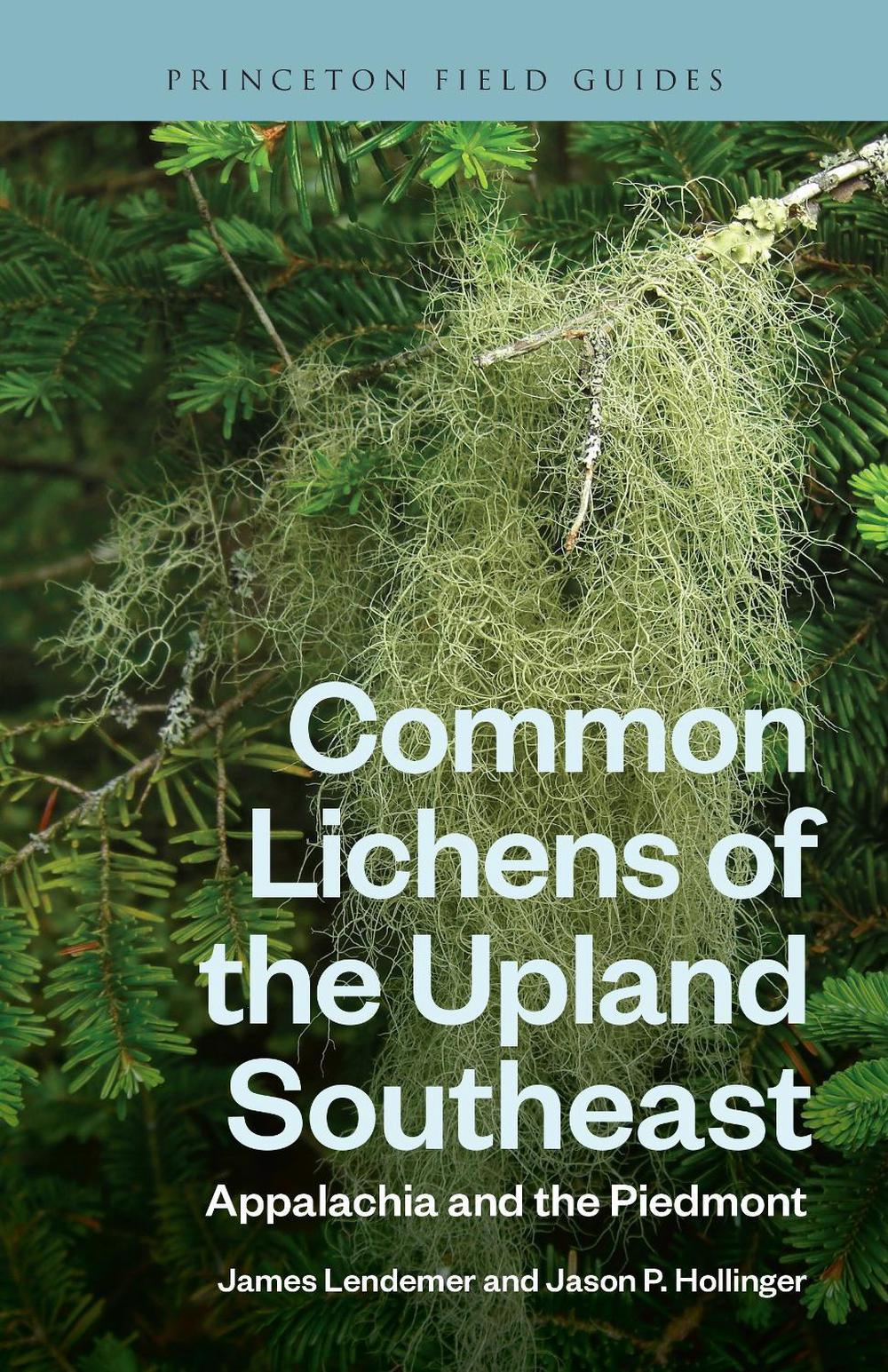 Common Lichens of the Upland Southeast, 9780691230733