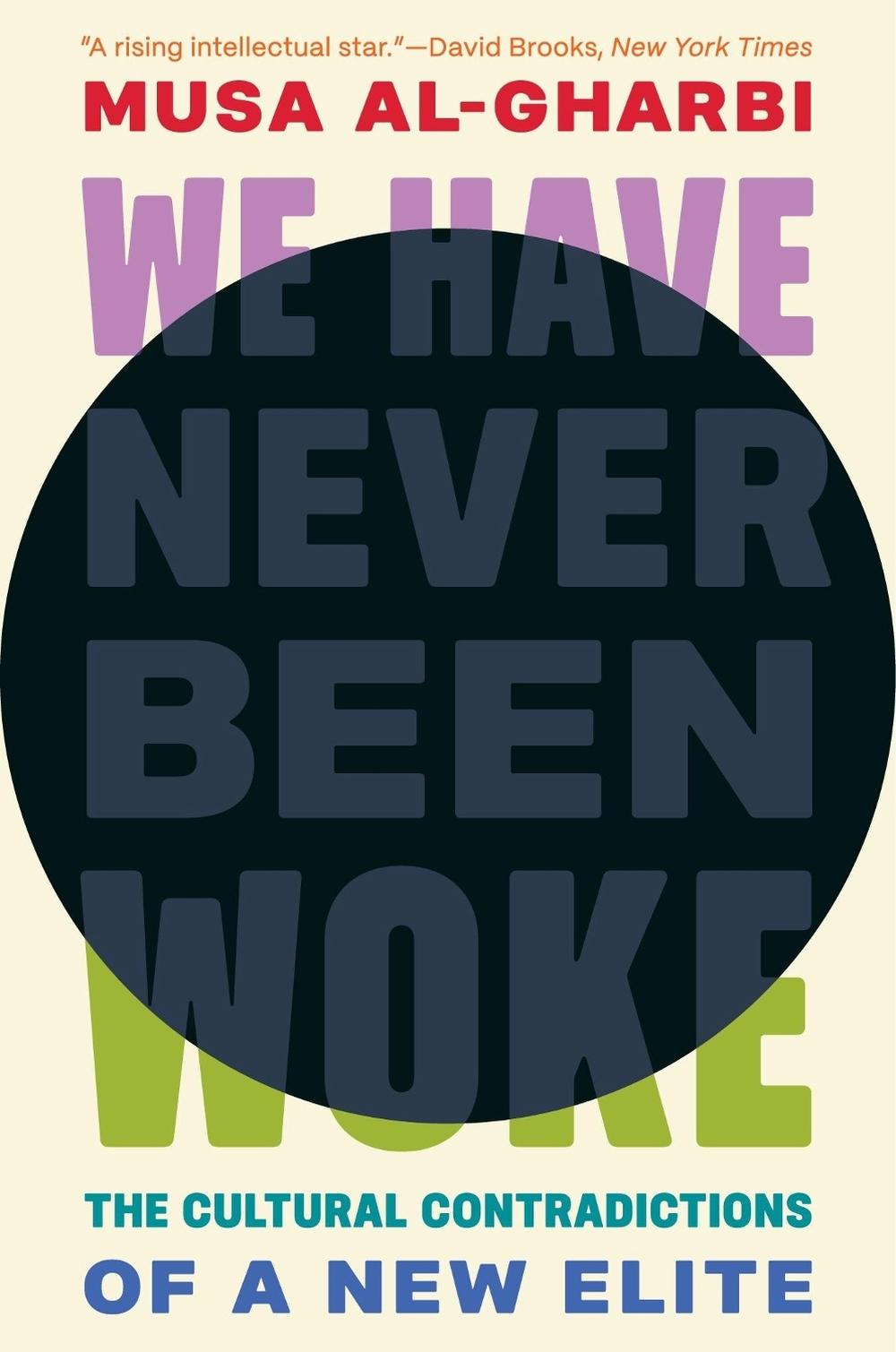 We Have Never Been Woke, 9780691232607