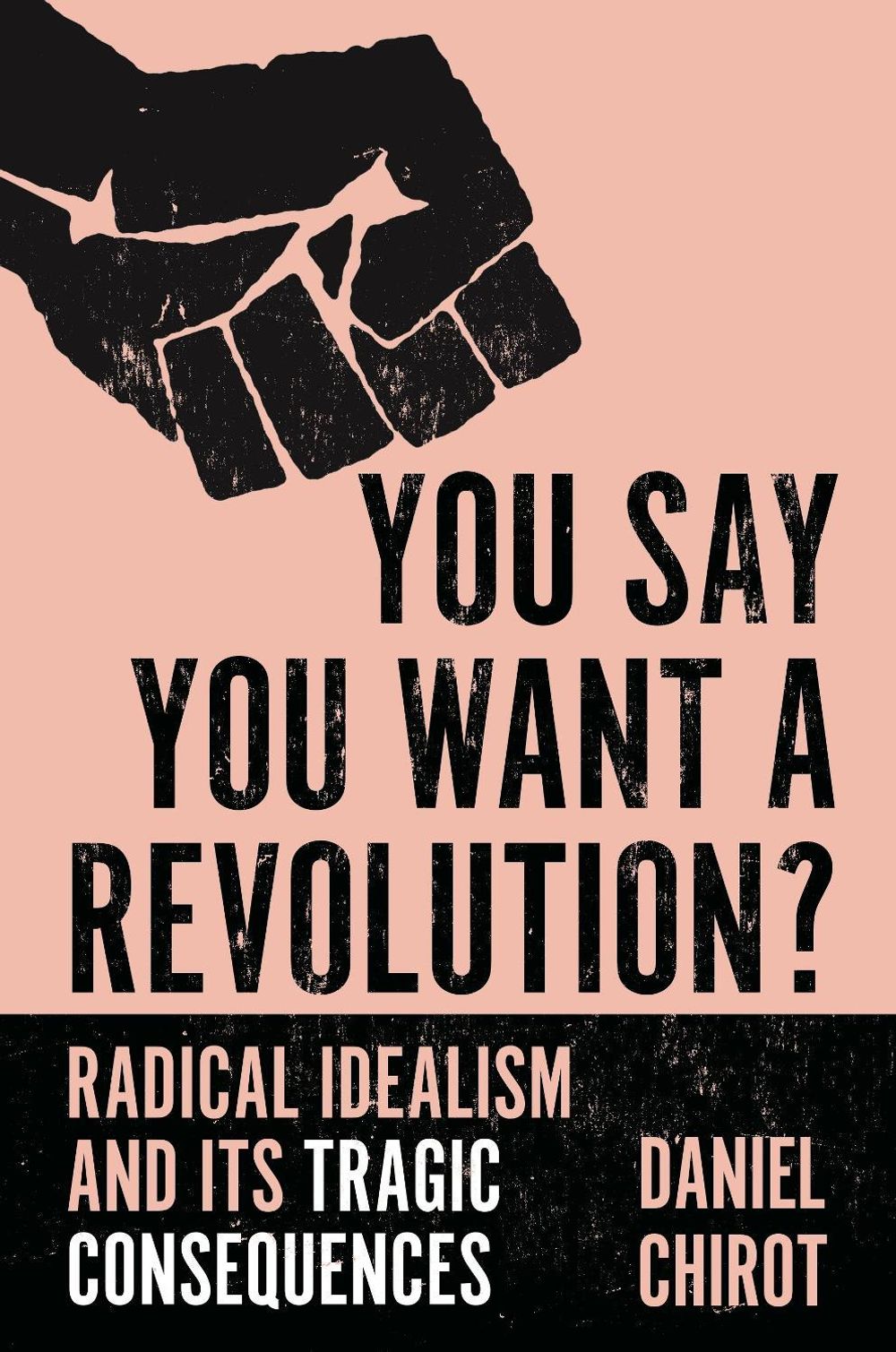 You Say You Want a Revolution? by Daniel Chirot - ISBN: 9780691234328