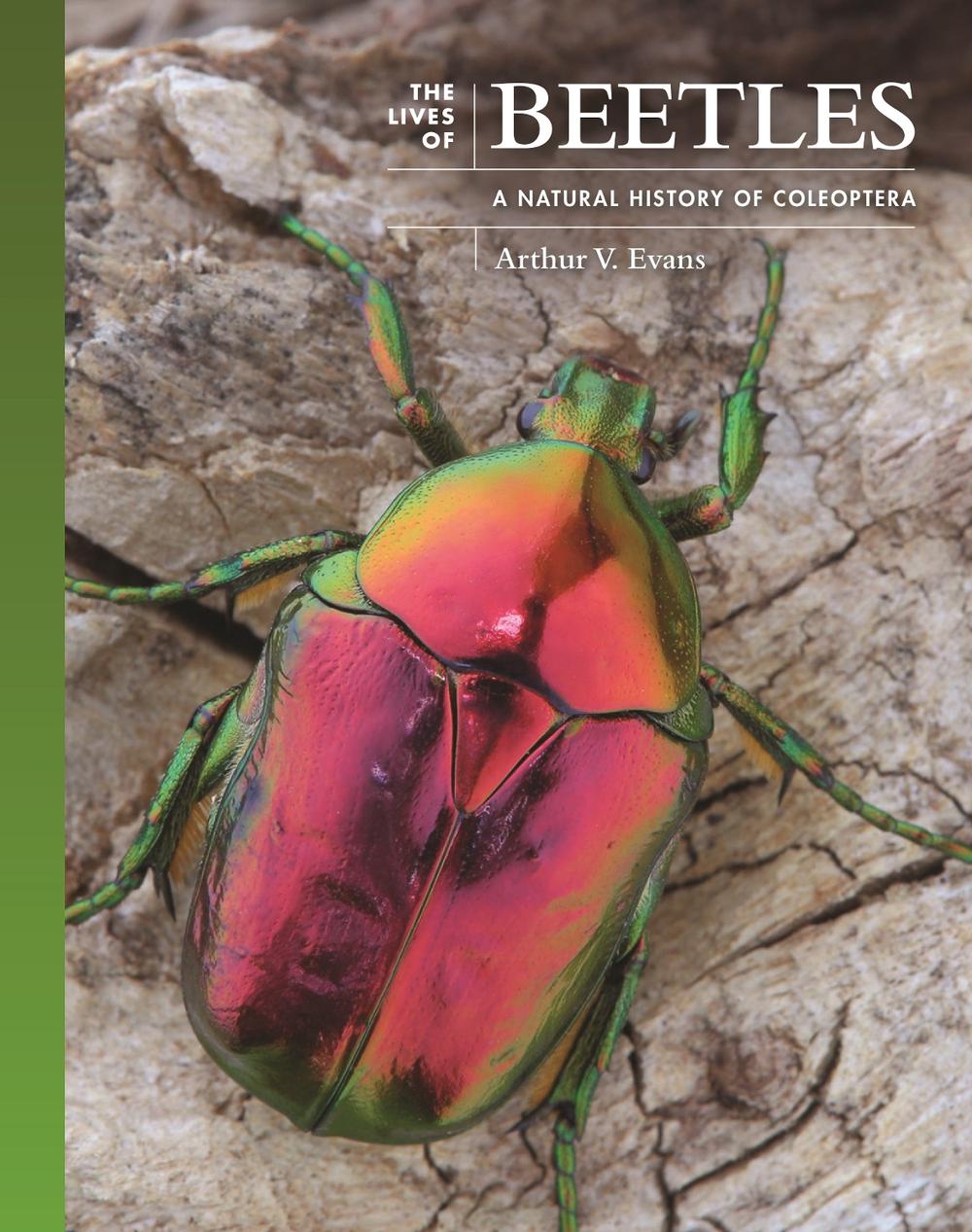 The Lives of Beetles, 9780691236513