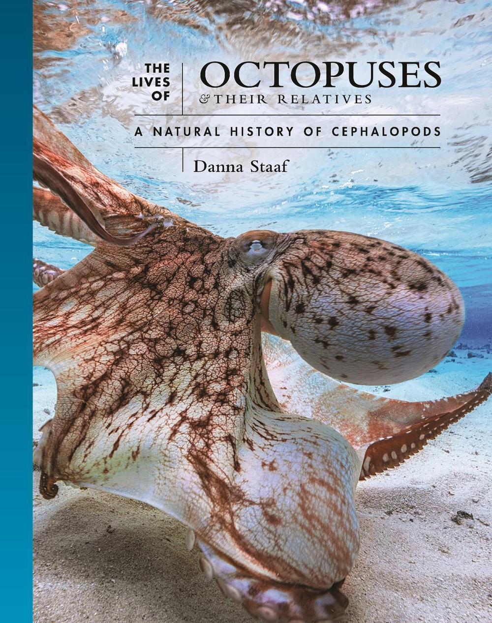 The Lives of Octopuses and Their Relatives, 9780691244303