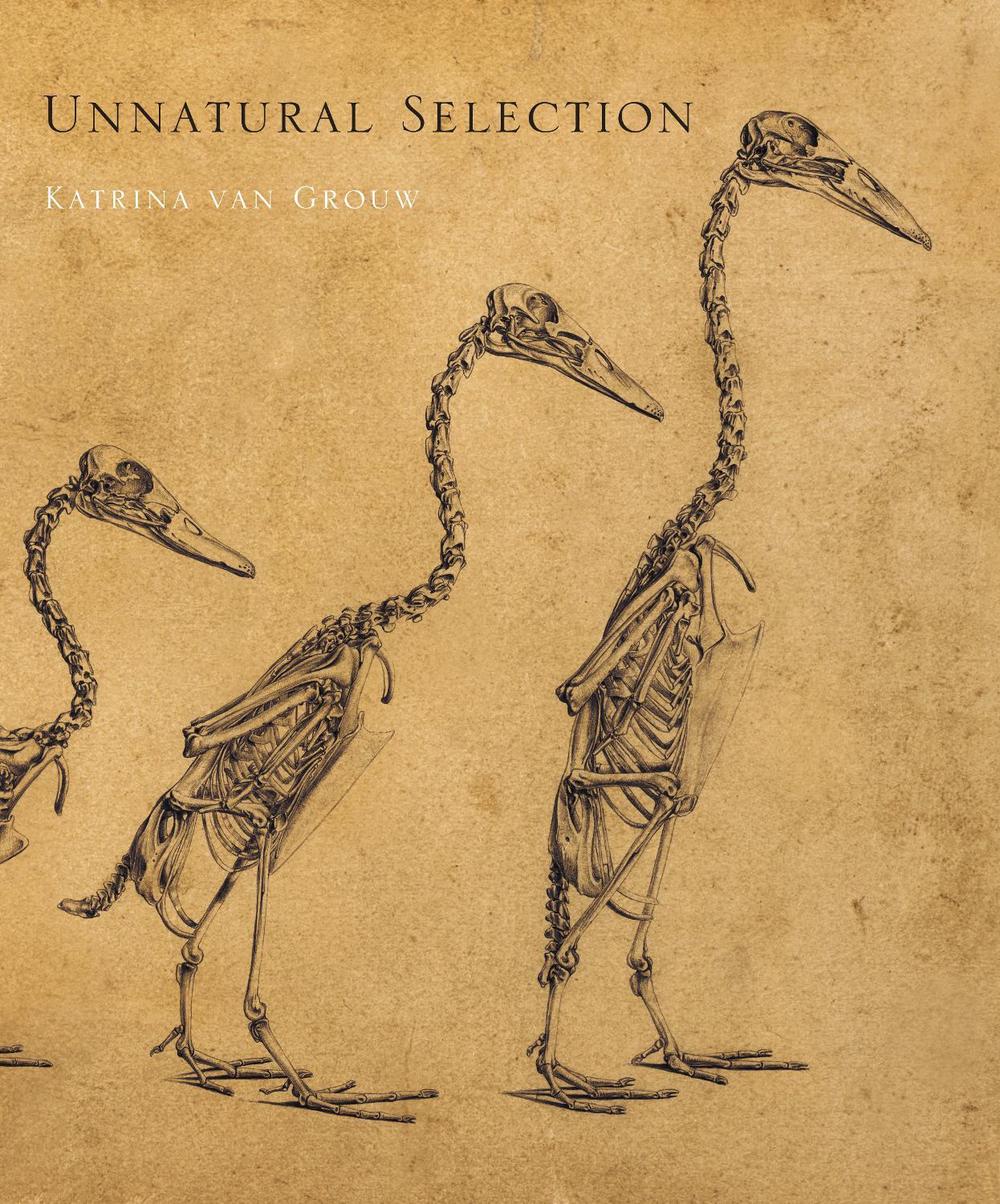 Unnatural Selection by Katrina van Grouw - ISBN: 9780691254050