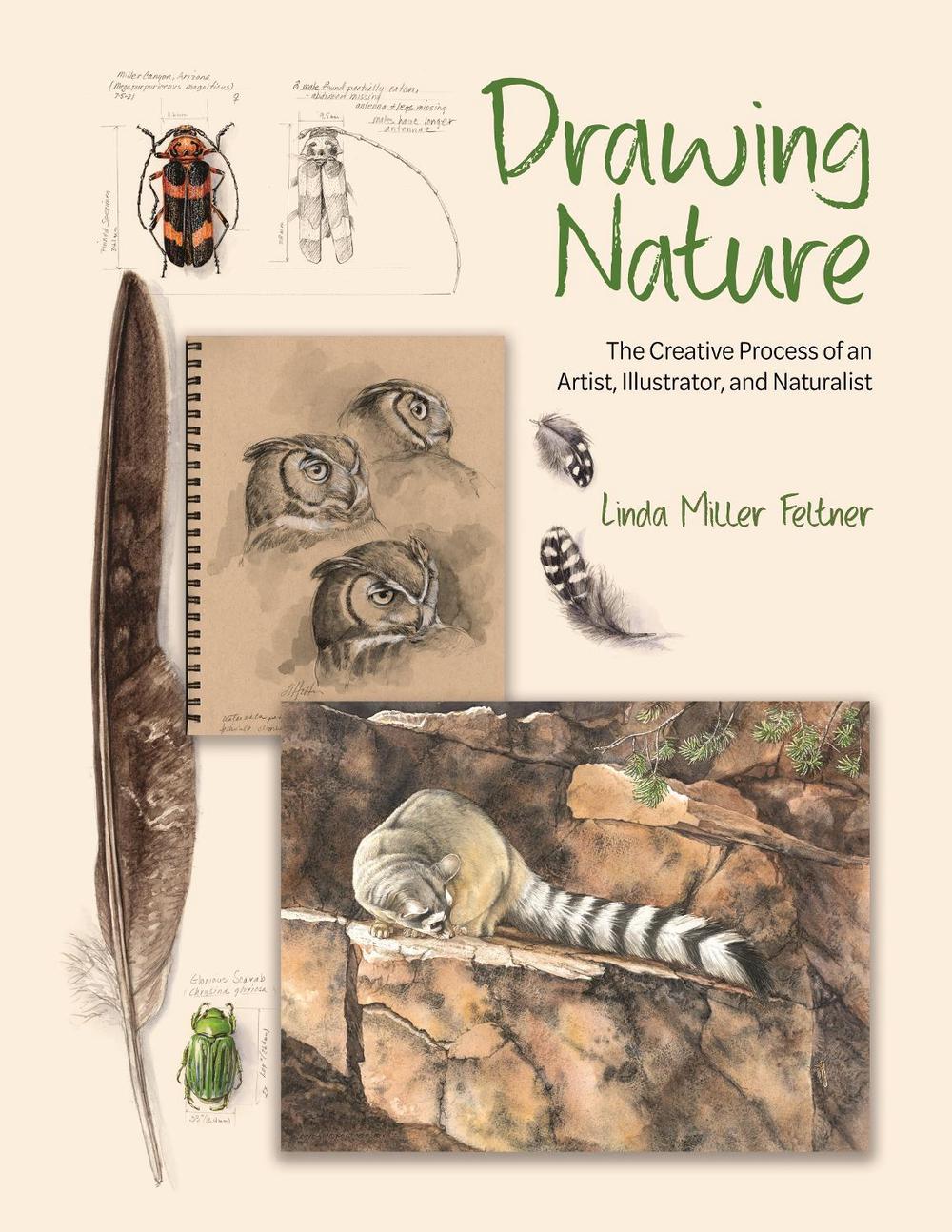 Drawing Nature, 9780691255385