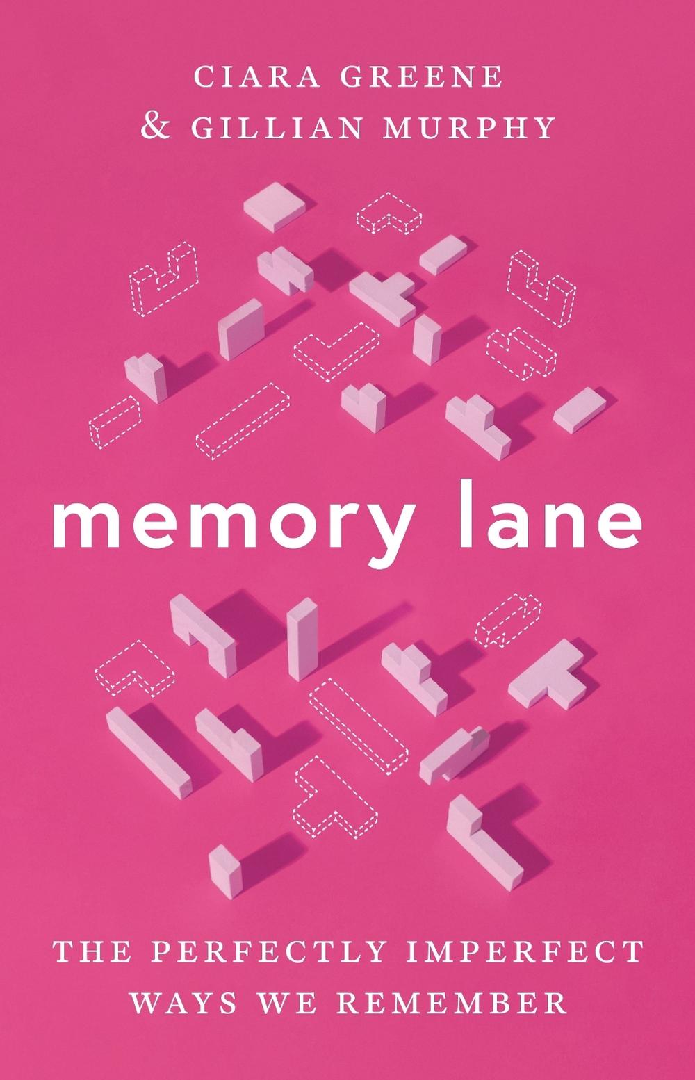 Memory Lane, 9780691257099