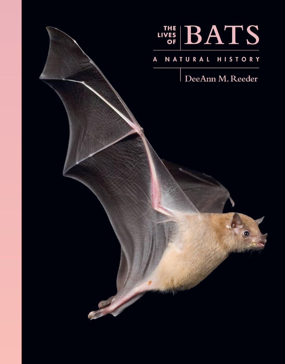 The Lives of Bats, 9780691257624