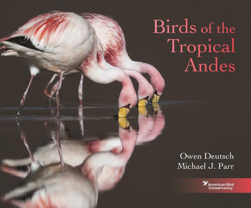 Birds of the Tropical Andes, 9780691260686