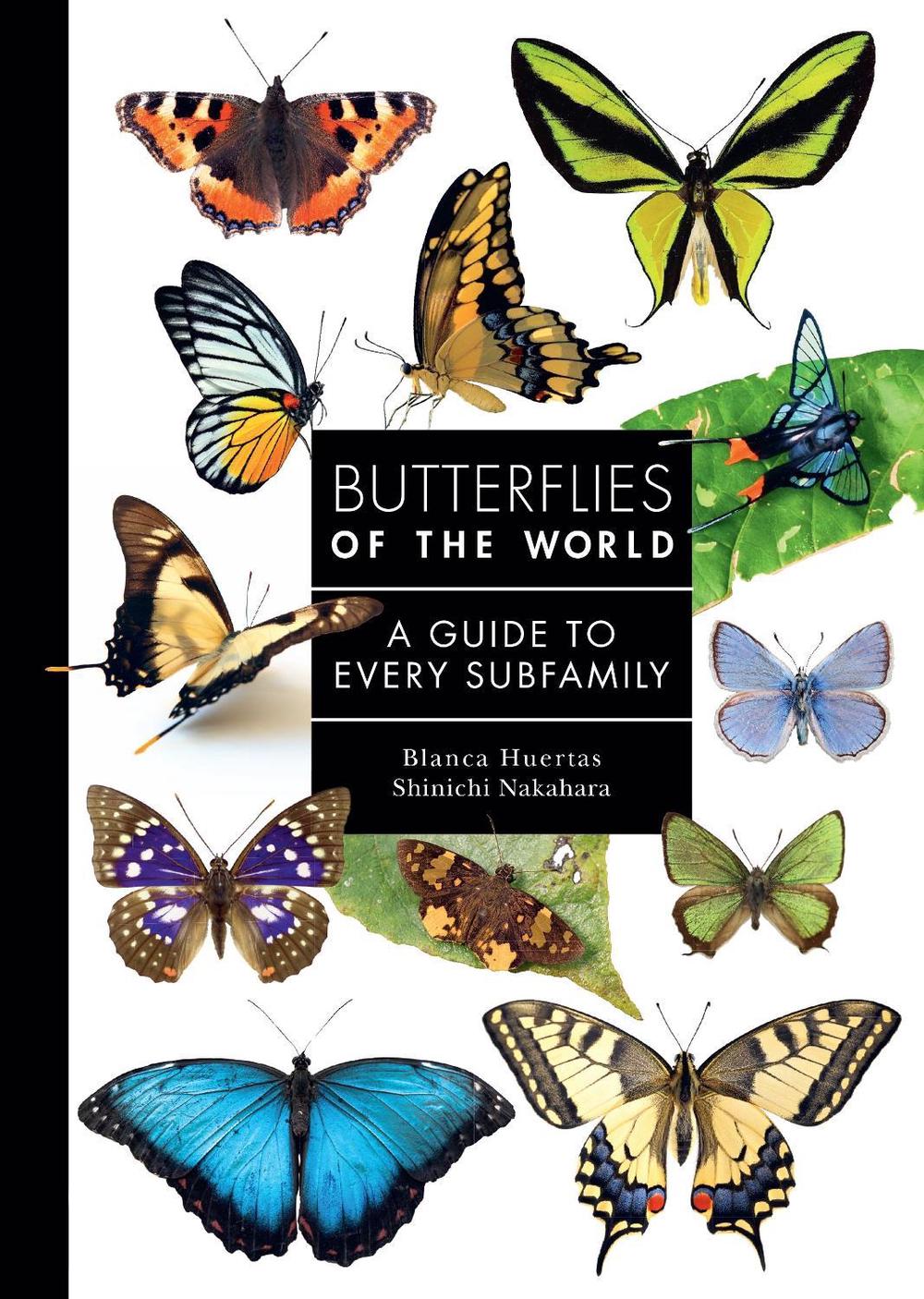 Butterflies of the World, 9780691265209