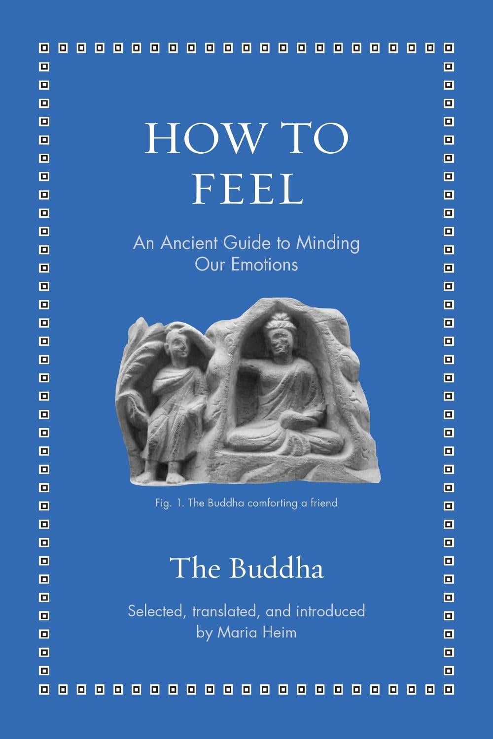 How to Feel by Maria Heim - ISBN: 9780691267395