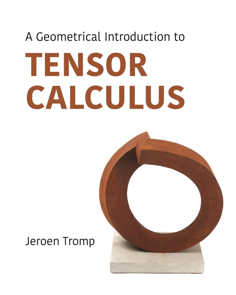 A Geometrical Introduction to Tensor Calculus, 9780691267982