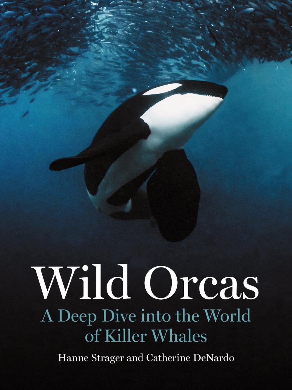 Wild Orcas, 9780691269849