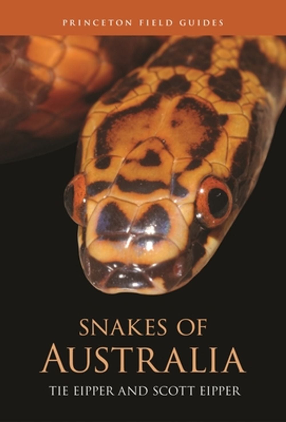 Snakes of Australia by Tie Eipper - ISBN: 9780691269931