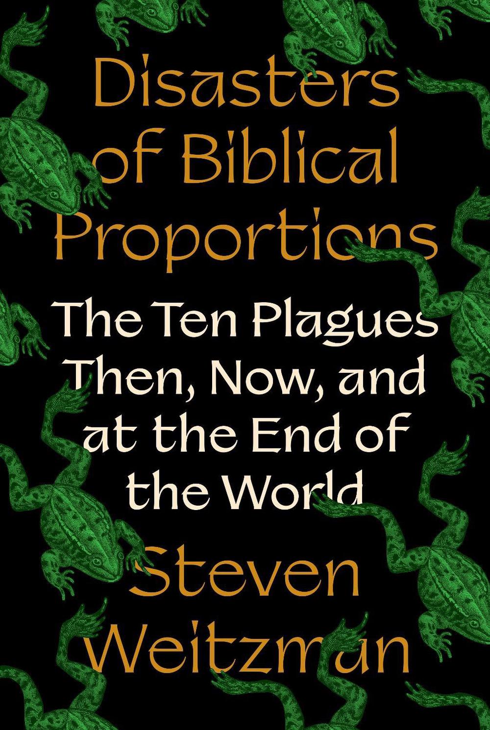 Disasters of Biblical Proportions, 9780691270463