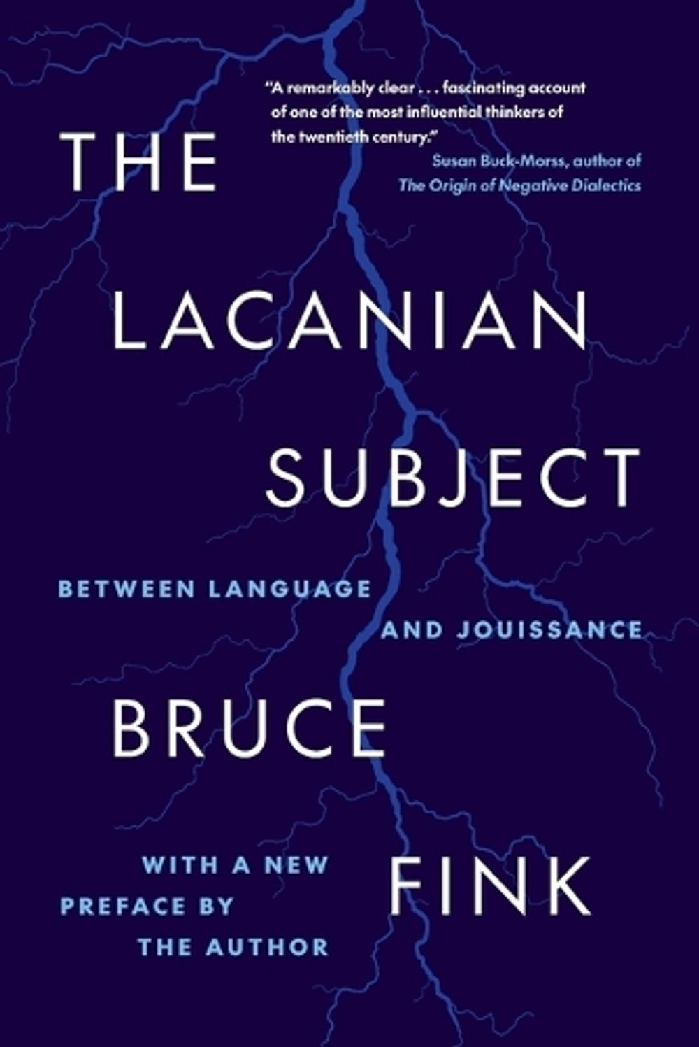 The Lacanian Subject by Bruce Fink - ISBN: 9780691272917