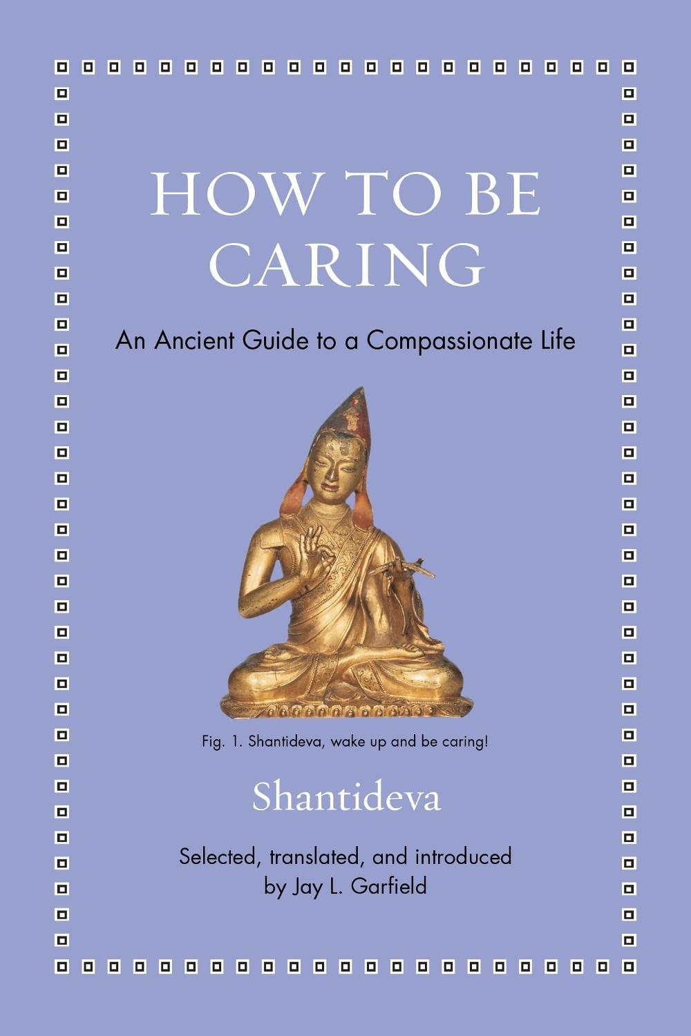 How to Be Caring, 9780691274072