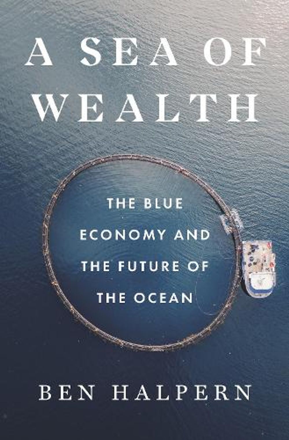 A Sea of Wealth by Ben Halpern - ISBN: 9780691275659
