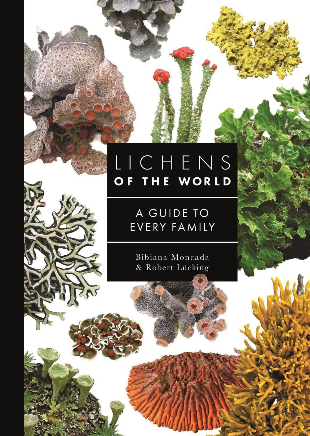 Lichens of the World by Bibiana Moncada - ISBN: 9780691280455
