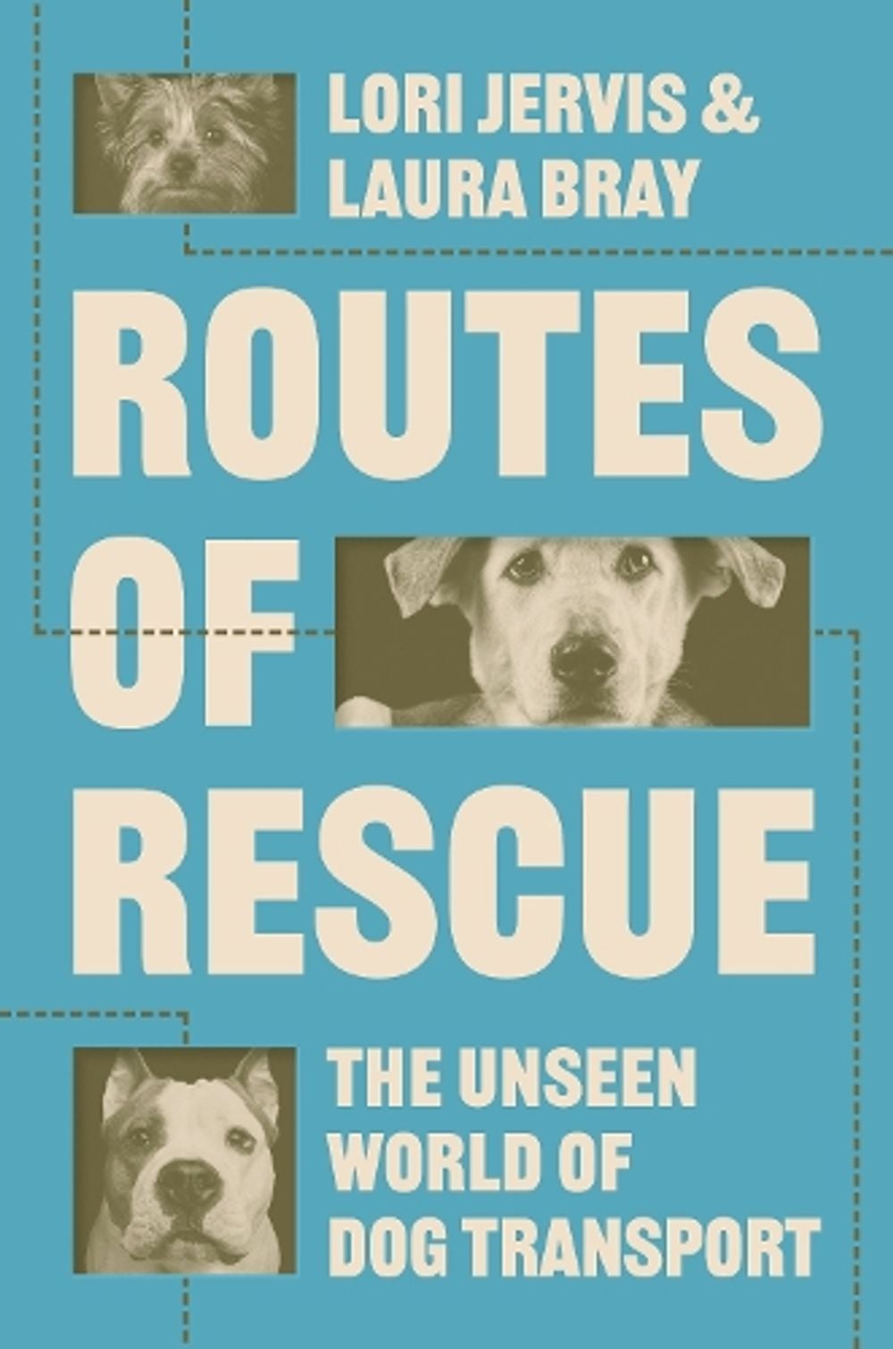 Routes of Rescue by Lori L. Jervis - ISBN: 9780691283449