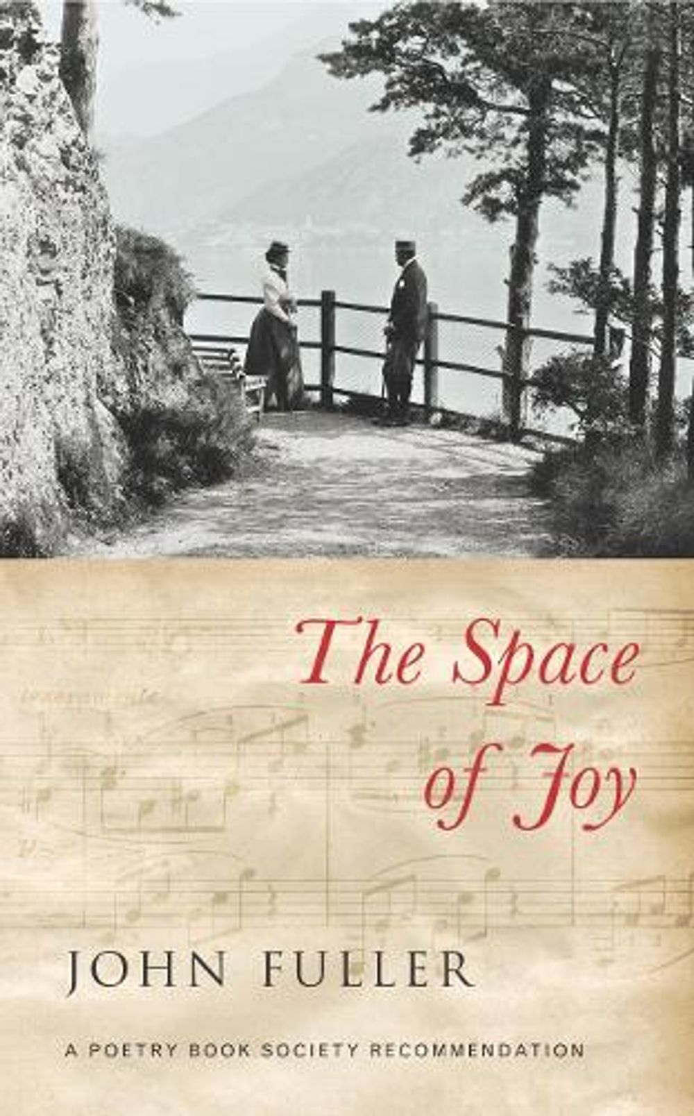 The Space of Joy by John Fuller - ISBN: 9780701181109