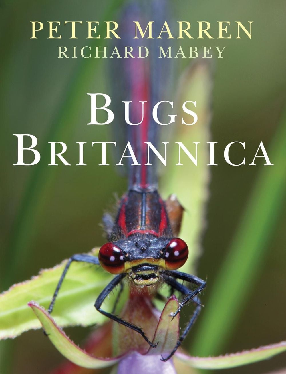Bugs Britannica by Peter Marren - ISBN: 9780701181802