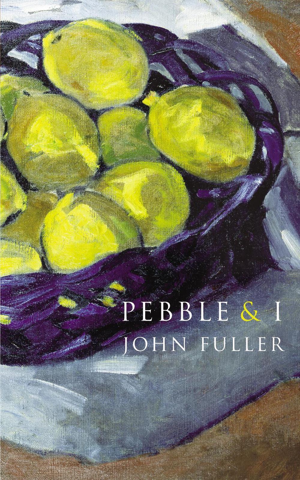 Pebble & I by John Fuller - ISBN: 9780701184919